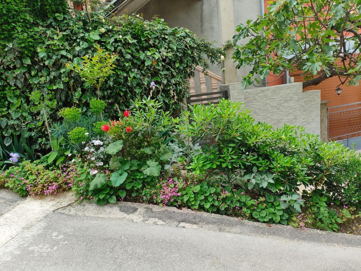 Studio Apartman Rea Kotor Exteriör bild