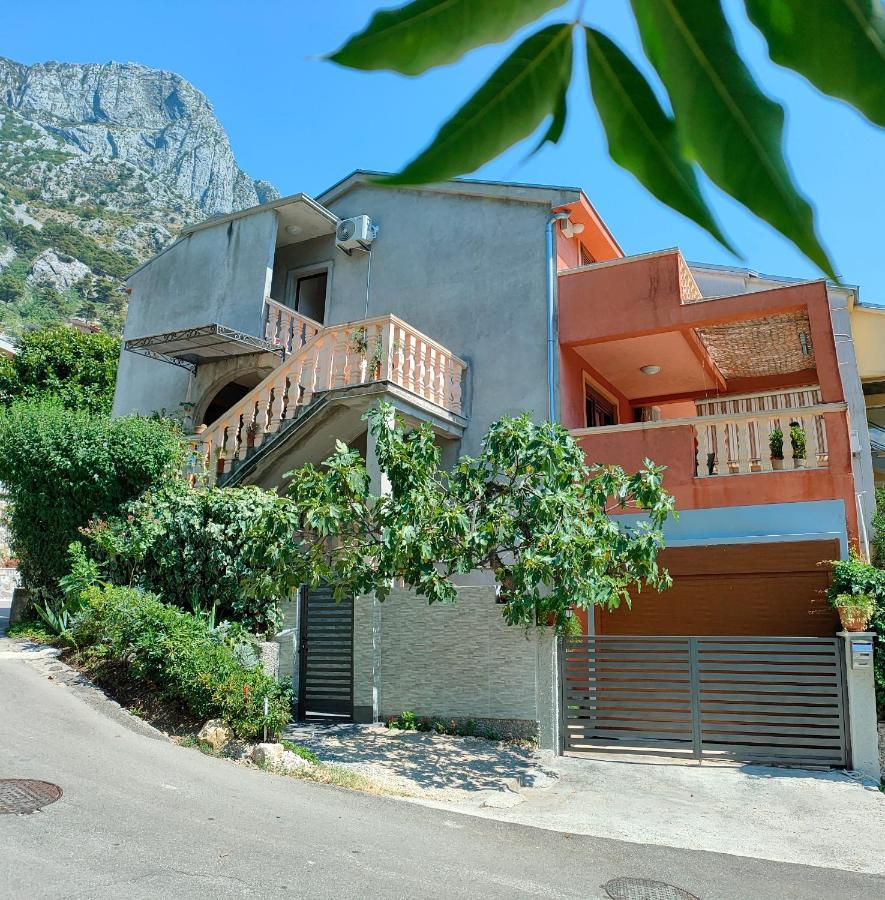 Studio Apartman Rea Kotor Exteriör bild