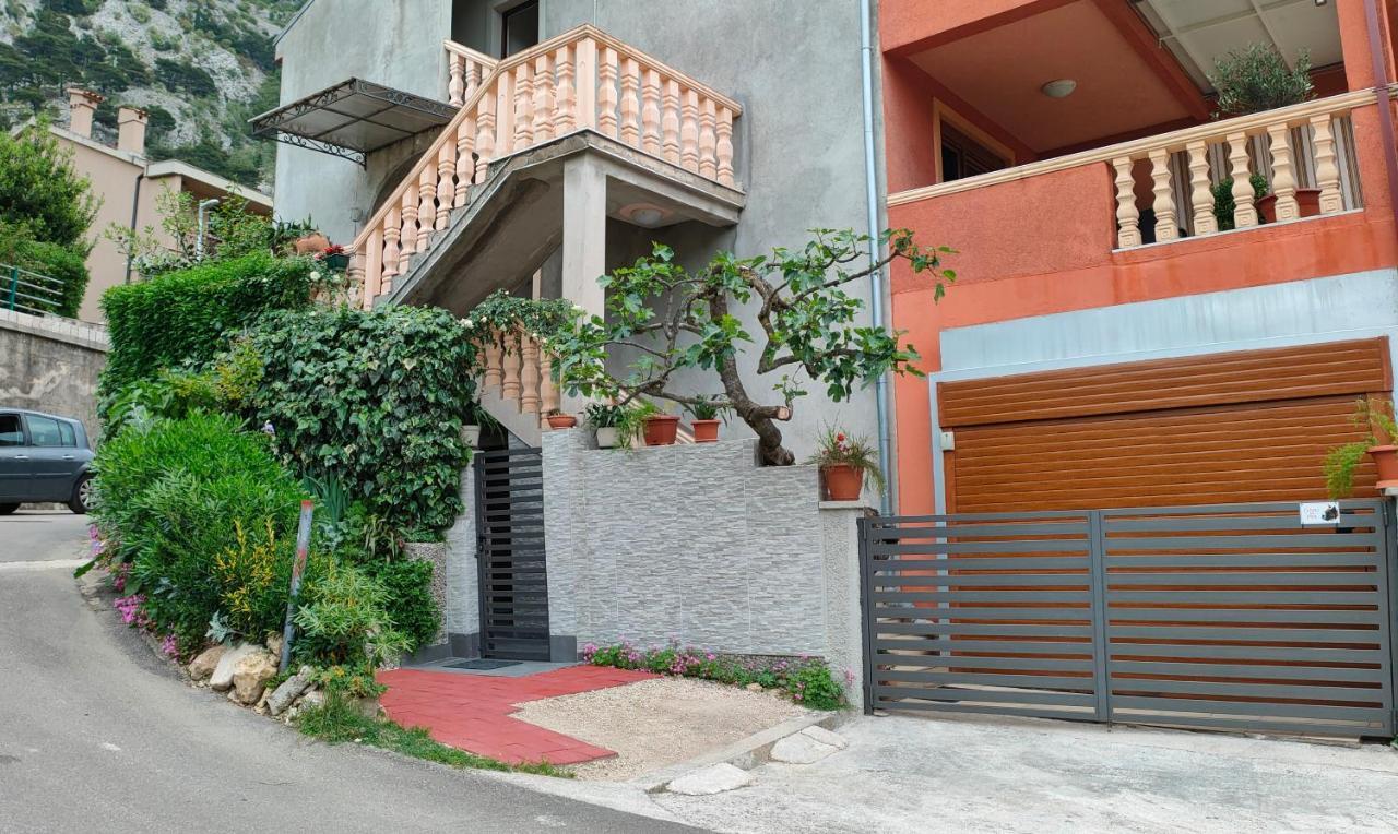 Studio Apartman Rea Kotor Exteriör bild